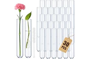 Idota 30 stycken provrörsglas med rengöringsborste borosilikatglas rund botten provrör vas för blommor gör-det-själv hantverk hydroponiska växter (20 x 150 mm)