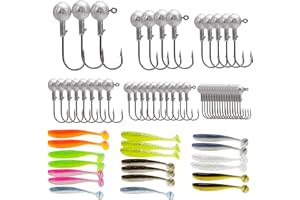 YCSRNN 65 Pcs Set Jig Heads for Fishing Lures, Soft Plastic Lures Kit with Various Weights, Ideal for Freshwater and Saltwater Fishing, Perch lures, Bass, Trout, Pike fishing