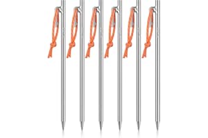 Tentock 6 Pezzi Lega di Titanio Picchetti Della Tenda Durevole leggero Picchetti per Tende da Campeggio Chiodi per Tende Antivento con Coulisse Riflettente per Le Attività All'aperto（TT0142）