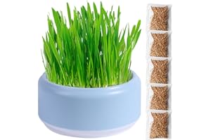 THAELY Fioriera per erba gatta, fioriera per erba gatta, vassoio per erba gatta idroponica, coltivazione fuori suolo dells'erba gatta, vassoi per germogli di semi di erba gatta, erba gatta facile da piantare