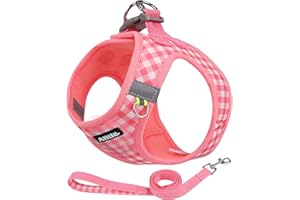 AIITLE Arnés y Correa Easy Walk para Perros, Pet Supply, antitirones, Malla Transpirable, Rayas Reflectantes, arneses Ajustables a Prueba de Fugas para Exteriores para Perros medianos, Sandía L