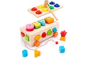 KidMigo Spielzeug ab 1 Jahr, Holz Sortier Stapelspielzeug, Motorikspielzeug 1 2 3 Jahre, Lernspielzeug ab 1 Jahr, Grafik Passendes Holzspielzeug, Geschenk für 1 2 3 4 5 Jahre