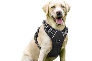 rabbitgoo No-Pull Hundegeschirr atmungsaktiv Brustgeschirr Geschirr für Hunde Welpengeschirr Reflexstreifen Sichere Führung E