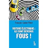 Voiture électrique : ils sont devenus fous !
