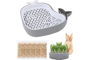 CUVZORA Set de graines d'herbe à chat, 5 sachets avec plateau de germination, forte germination et croissance rapide, culture facile, sûr pour les chats, idéal pour appartement et balcon