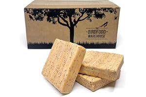 The Birdfood Warehouse Mealworm & Insect Premium Suet Block 10 Pack | 100% Natural Wild Garden Bird Food, Suet for Birds