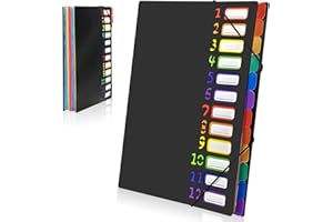 Gemtte Teczka z przegródkami A4, z 12 przegródkami, 24 kieszenie, folder na dokumenty, kolorowa, wodoodporna, do szkoły, na artykuły biurowe (czarna)