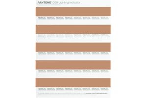 Pantone LNDS-1PK-D50 Lot de 40 Autocollants Indicateur d'éclairage