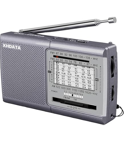 Sony ICF-P37 - Portable AM/FM radio - Black : Amazon.co.uk