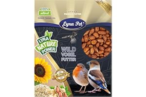 Lyra Pet® 25 kg de graines de cacahuètes avec Peau | Nourriture pour Oiseaux Sauvages Toute l'année | Riche en Fibres | Énergie grâce à Une teneur élevée en Graisses | pour Pigeons & Oiseaux
