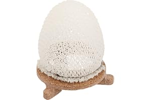 American Mantle Hard Company Inc 7998680 Preformed Inverted Mantle 2/179B Ceramic Ring-for Outdoor Gaslights, 1