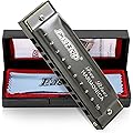 East top Harmonica diatonique en Do 10 Trous, Harmonica Blues Diatonique en Do, T003 Instrument pour Adultes, étudiants, Enfants et Débutants avec étui gris（Gris argenté）