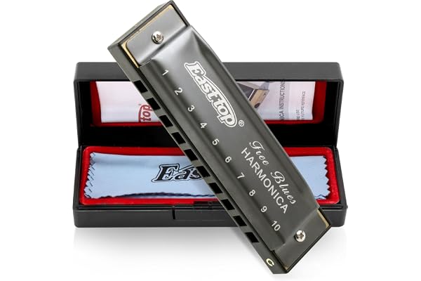 East top Harmonica diatonique en Do 10 Trous, Harmonica Blues Diatonique en Do, T003 Instrument pour Adultes, étudiants, Enfants et Débutants avec étui gris(Gris argenté)