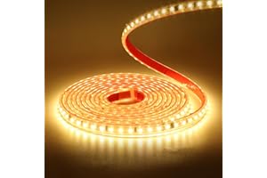 Wisada Striscia LED 220V SMD 2835, 120 LED/m, IP65 impermeabile, Striscia LED flessibile per lucernario Soggiorno Decorazione cucina (Bianco Caldo (3000-3500K), 2M)