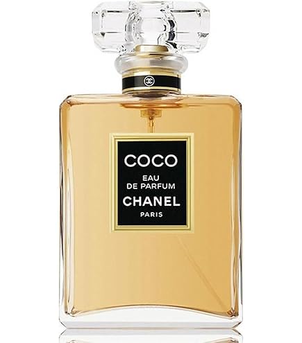 Chanel Coco women's Eau de Parfum spray (1 x 100 ml) : Chanel