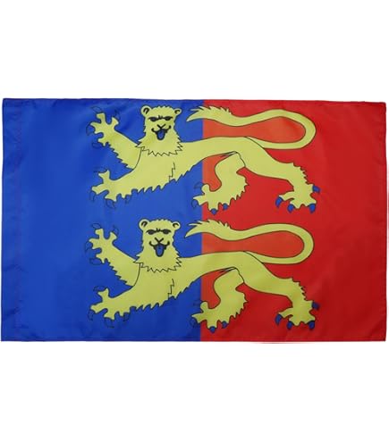 Drapeau Normandie Croix De Olaf 2 Lions - 150 X 90 Cm - Polyester Résistant - Fourreau Pour Hampe
