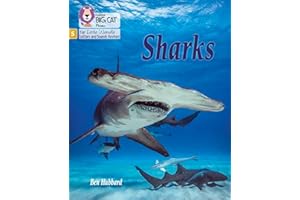 Sharks: Phase 5 Set 1 (Big Cat Phonics for Little Wandle Letters and Sounds Revised)
