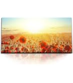 Islandburner Leinwandbild Mohnblumen Feld – 80x40 Cm, Sonnenuntergang, Wandbild Kunstdruck