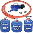 catering Parts UK Camping gas Type 30Mbar Gas Regulator With 1M Hose + 2 Clips Fits 907 904 901 for CAMPINGAZ Gas Cylinders