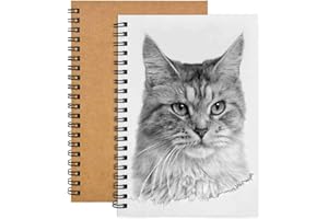 FODLON 2 Pack Sketch Notebook, 200 Sides/100 Pages A5 Sketchbook, Blank Sketch Book Paper, Kraft Cover Spiral Bound Drawing Artist Pad for Boys Girls Painting Watercolor,Journalr,Drawing Landscape