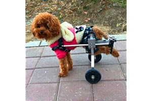 Cora Pet Sedia A Rotelle Regolabile per Cani di Piccola Taglia, per Disabili, 2 Ruote (XS - Peso: 2-5 kg, Altezza: 20-32Cm)