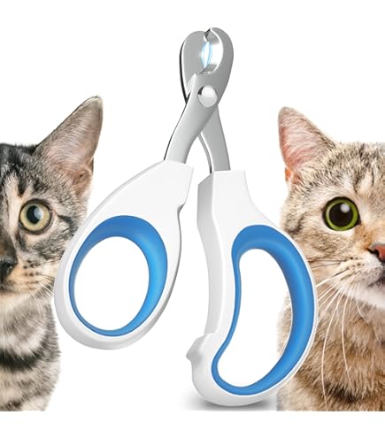 Amazon Cat Claw Caps Near Me Cat Claw Covers 200 Pcs Cat Claw Caps