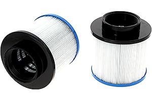 Darlly Filtre Spa Lot de 2 (40059 / B Cool - Ospazia - Aquaspa - Hespéride)