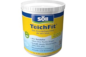Söll Techfit 15212 Stagno Cleaner 1kg