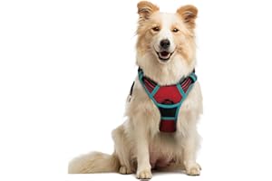 rabbitgoo Szelki dla psa, bez ciągnięcia, z 2 klipsami do smyczy, regulowane, miękkie wyściełane, odblaskowa, Oxford, bez duszenia, z łatwym uchwytem, dla średnich psów, czerwona i turkusowa, rozm. M