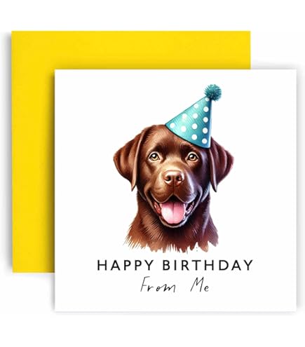 Élevage De Labrador Chocolat - Élevage Du Bois Du Double