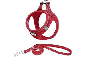 Suredoo Hundegeschirr mit Leine Anti Zug Geschirr Reflektierend Brustgeschirr für Kleine Hunde, Haustiere, Welpen, Katzen (Rot, L)