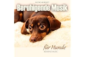 Beruhigende Musik für Hunde