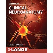 Buy Clinical Neuroanatomy, Twentyninth Edition (A & L LANGE SERIES