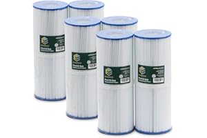 EMBRIIO Embro Wasserfilter Kartuschen für Filterpumpen PRB25-IN Ersatz für Pleatco PRB25IN Darlly 42513 Europe SC704 Unicel C-4326 FC-2375 Magnum RD25 Spa - Bestes Wasser 6 Stück