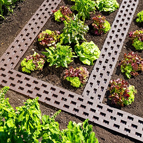 Beetplatten 10-er Packung - 2