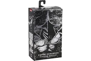 NECA Teenage Mutant 54181 Action Figure, multicolore