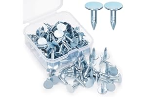 oumuik Lot de 100 clous de toiture en feutre pour abris de jardin en bois, maisons d'été en plein air