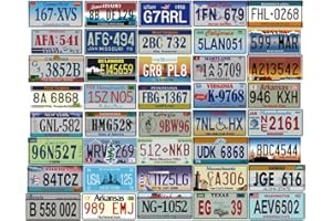 OPO 10 - Set of 40 USA car registration plates in metal - replicas of real American plates (40)