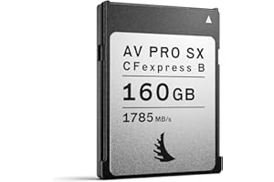 Angelbird PRO CFexpress SX Type B 160 GB 14823 schwarz/Silber