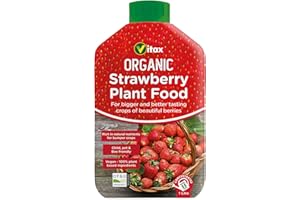 AXPOWER INSPIRATIONAL TECHNOLOGY EMPOWERING PEOPLE Organic Liquid Strawberry Plant Feed Fertiliser 1L – Natural Growth Booster for Lush, Juicy Strawberries – Promotes Strong Root Development & Fruit Production – Ideal for Garden & Container Plants