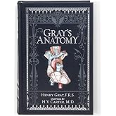 Gray's Anatomy