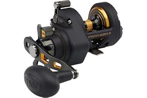 PENN Fathom II Star Drag Multiplier Reel - Saltwater Fishing Reel for Boat, Shore Casting and Kayak Fishing, Black/Gold