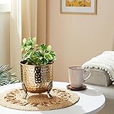 amazon basics Hammered Metal Planter for Home Decor (Set of 2) | Suitable for Indoor Outdoor Balcony Living Room | (Gold)