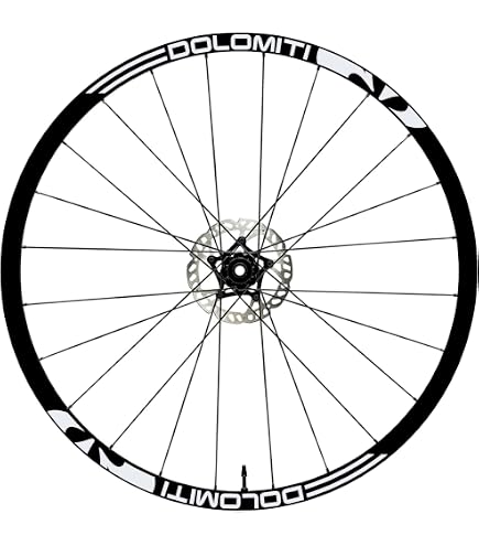 DualColorStampe Adesivi Cerchi Bici MTB 26'' - 27,5'' - 28-29'' Pollici Ruota Bici MTB Bike Stickers Cerchi MTB COD. B0071 (28-29'' Pollici, Fucsia 41