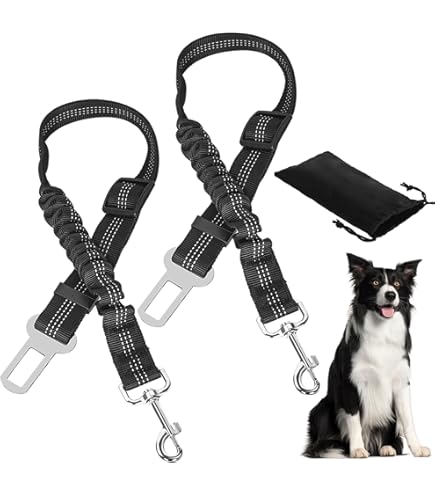 Ceinture De Securite 2 Points Automate - Auto