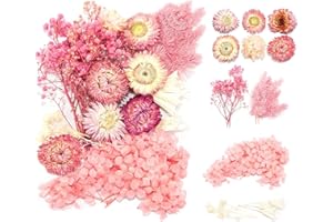 VYNZOR Set de Flores Secas Naturales Hazlo tú mismo, Flores Secas para Resina, Flores Preservadas Naturales, Flores Prensadas, Flores Secas Paniculata, Joyería, Vela, Arte para uñas, Artesanía Álbum