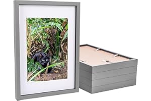 Nicola Spring 3D Shadow Box - Grey A3 Frame (30 x 42cm) - White A4 Mount (20 x 30cm) - Pack of 5-3D Photo Frame 3D Box Display Case