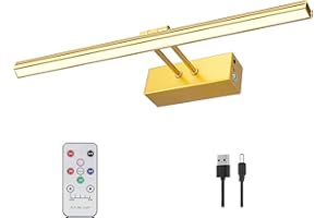 FUNCHDAY Picture Light,5000mAh Battery Operated Picture Light for Wall,Wireless Remote Painting Light with Timer and Dimmable,16”Metal Art Light for Display,Wall,Artwork,Portrait,Gallery -Brass