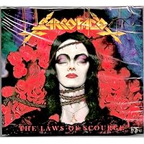 71QoL2Lx7VL._AC_UL210_SR210,