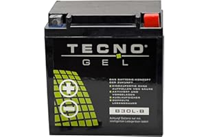 ‎WIRTH-FEDERN Tecno-Gel Motorcycle Battery for YB30L-B for Harley Davidson FLHR All 1340, 1450, 1584, 1690, 1745, 1800, 12V Gel Battery 30Ah, 168 x 132 x 176 mm